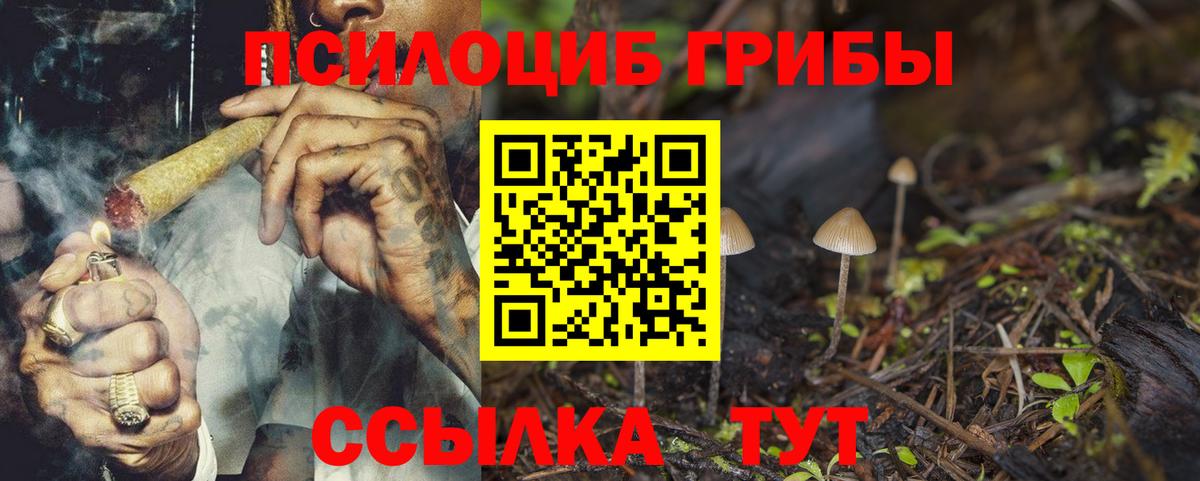Псилоцибиновые грибы Magic Shrooms Шатура